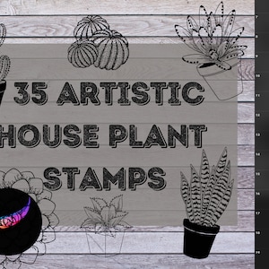 ProCreate House Plant Stamp Pack - Brushes for iPad | Artistic House Plants Designs for Greeting Cards, Tattoos, Sublimation & More