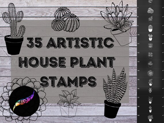 ProCreate House Plant Stamp Pack - Brushes for iPad | Artistic House Plants Designs for Greeting Cards, Tattoos, Sublimation & More