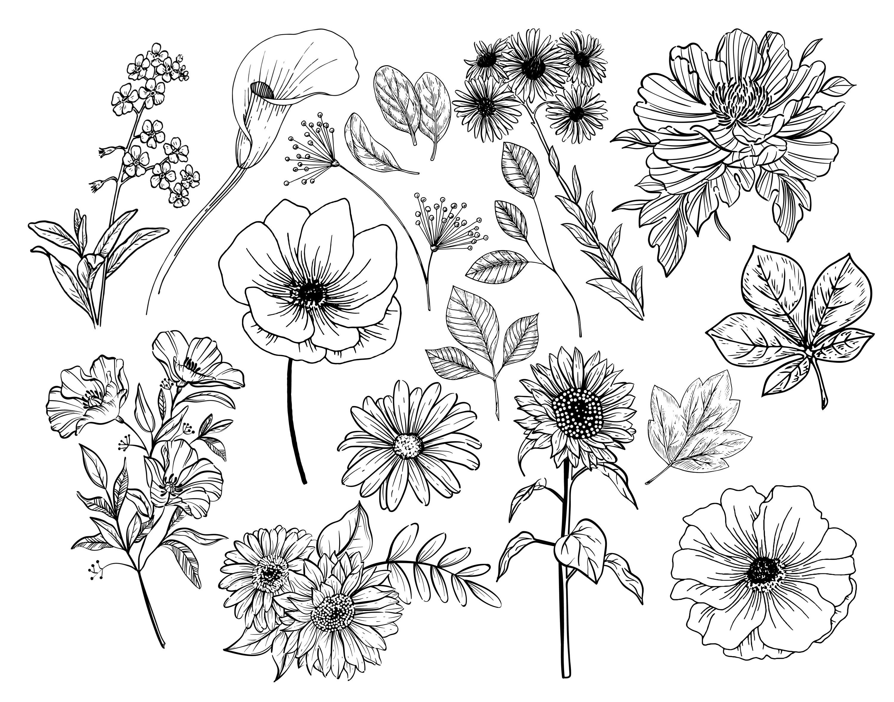 Procreate Artistic Floral Stamp Pack - Brush Bundle for iPad | Bouquet ...