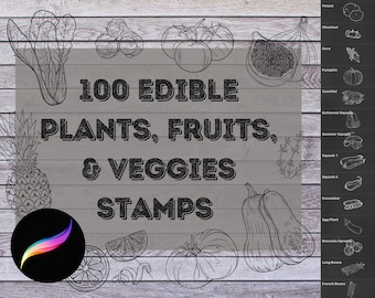 ProCreate Fruit, Veggies, & Edible Botanicals Stamp Pack - Brush Bundle for iPad
