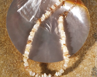 May include: A necklace composed of irregular, tumbled off-white and light tan shell chips strung together. The piece features a gold-toned metal lobster claw clasp and an adjustable chain link extender at the end for a secure and customizable fit.