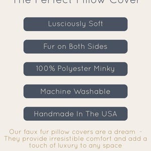 K&ouml;nnte beinhalten: Eine Grafik mit dem Text "Introducing The Perfect Pillow Cover" in hellbrauner Schrift. F&uuml;nf blaue Kn&ouml;pfe mit wei&szlig;em Text listen die Eigenschaften des Kissenbezugs auf: "Lusciously Soft", "Fur on Both Sides", "100% Polyester Minky", "Machine Washable" und "Handmade In The USA". Der Text unter den Kn&ouml;pfen lautet: "Our faux fur pillow covers are a dream - They provide irresistible comfort and add a touch of luxury to any space". Der Text "renae & kae" ist in hellbrauner Schrift und der Text "RENAEANDKAE.ETSY.COM" ist in dunkelbrauner Schrift.