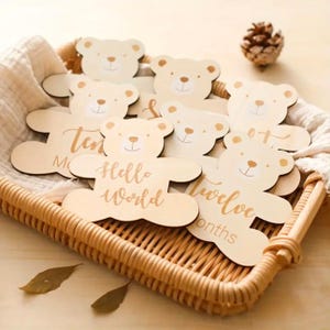 Disques d'étapes marquantes pour bébé ours en peluche - Cartes d'étapes importantes du mois en bois - Accessoires photo pour bébé - Cadeau souvenir pour nouveau-né - Option nom de bébé