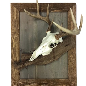 Golden Oak European Plaque
