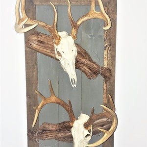Vertical Double Euro Plaque