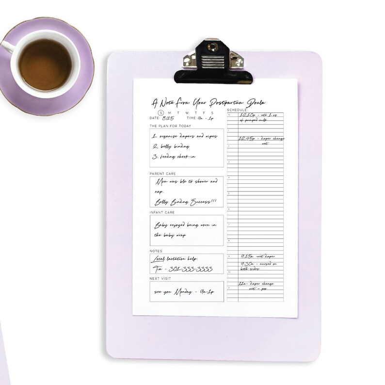 Postpartum Doula Visit Notes, Printable and Digital Sheet for Client ...