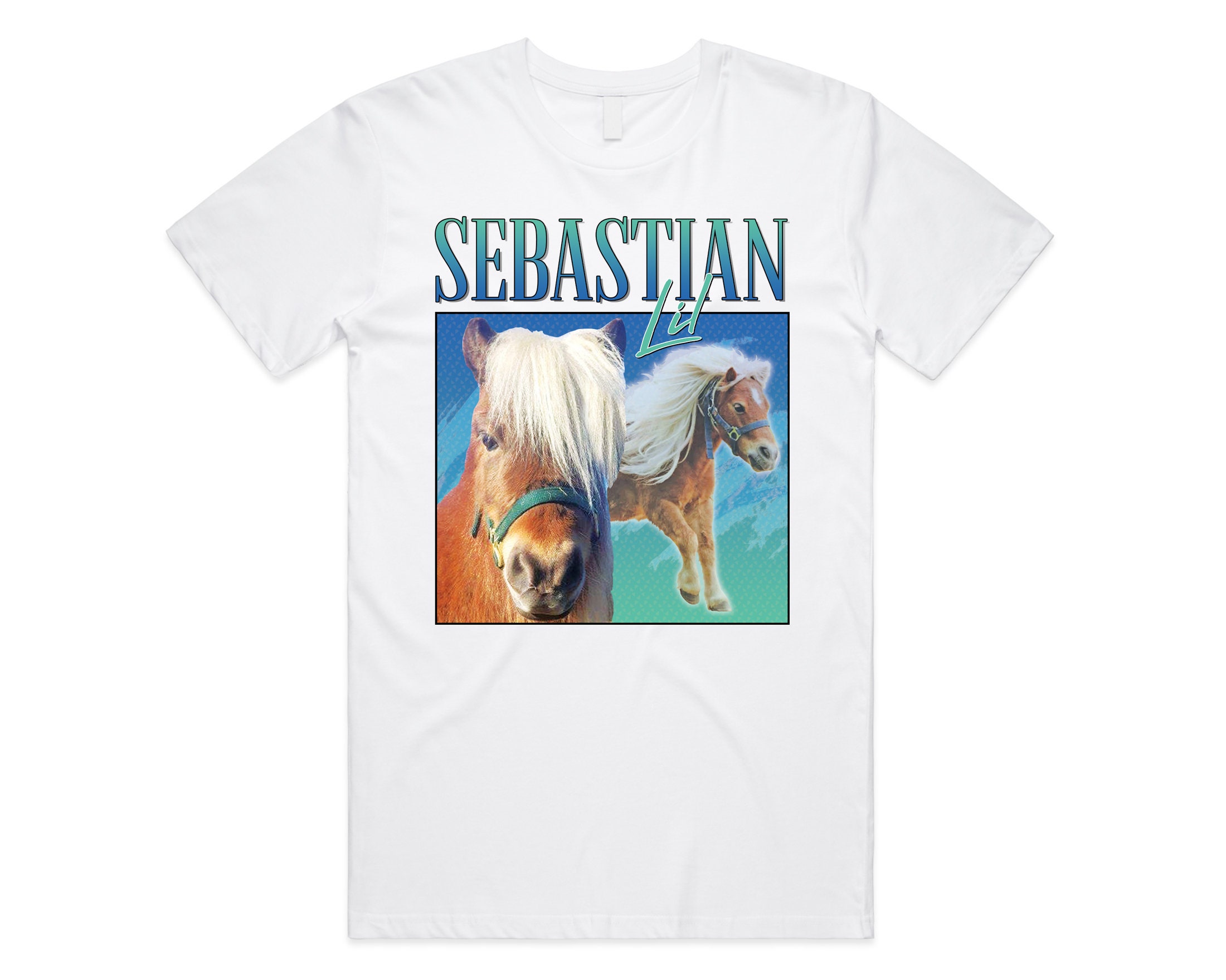 リル・セバスチャン オマージュ Tシャツ ティートップ パークス&レクリエーション TV 番組 ギフト レトロ 90年代 ヴィンテージ 面白い