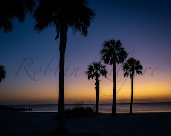Sunset at Howard Park 2 - Fine Art Color Photography