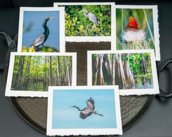 Cartes de voeux photo - Zones humides de Floride (intérieur vierge)