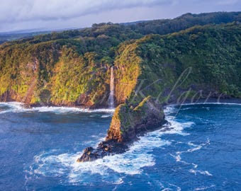 Sunkissed Coastline, Maui