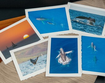 Cartes de voeux photo - Baleines de Maui (intérieur vierge)