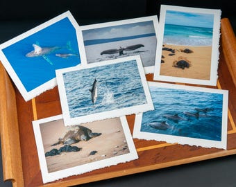 Cartes de voeux photo - Maui Ocean Life (intérieur vierge)