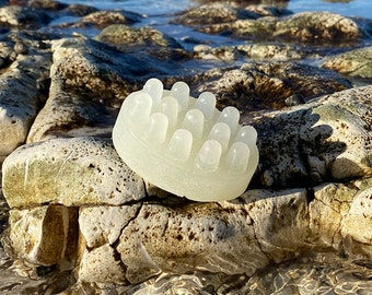 Der Anti-Stink Anti-Fuchs Poo One... natürliche Hundeshampoo bar