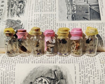 Hand-crafted Spell Jar Charm, for setting intentions, rituals. Taxidermy and plant, flora and fauna wax sealed glass jars.