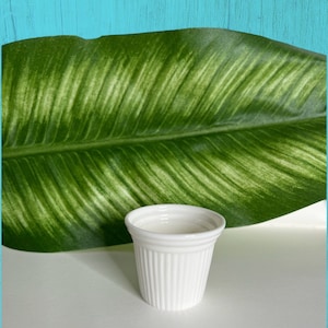 Single Ceramic Cafecito Cup - 1 piece | Espresso Coffee | Ventanita |  Coffee Lovers | Miami