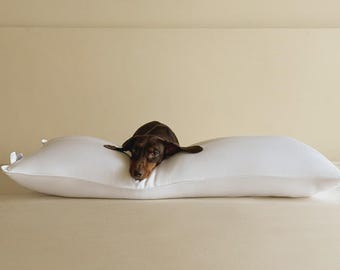 100% Mulberry Silk Filled Pillow Insert Medium Height Standard King Cal King | Double Cocoon Long-Strand Mulberry Silk,  Soft Fluffy Smooth