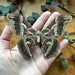 see more listings in the Butterfly Specimens section