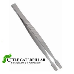 May include: A pair of stainless steel tweezers, angled diagonally against a white background. The tweezers have a ridged grip section and flat, rectangular tips. The text "LITTLE CATERPILLAR Butterfly Art & Conservation" is printed below the tweezers.