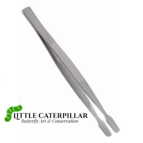 Spade Tip Entomology Tweezers/Forceps Tool for insects, butterflies, beetles, DIY Insect taxidermy, butterfly wing spreading