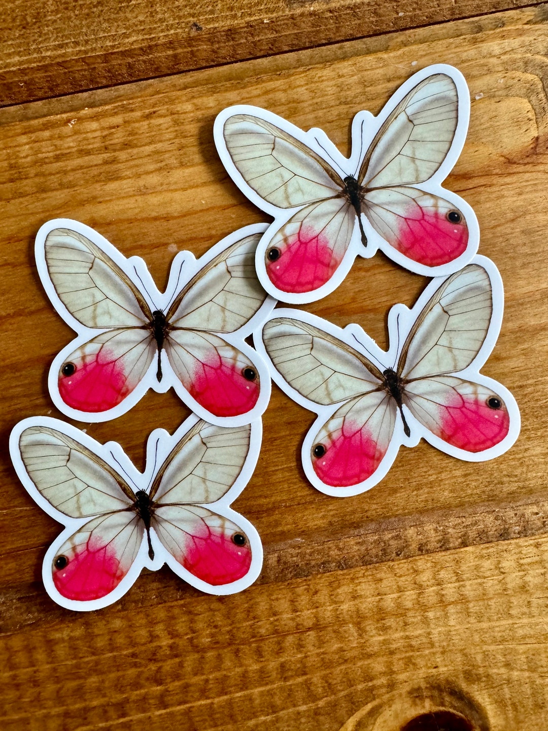 Blushing Phantom Butterfly Vinyl STICKER 'cithaerias Etsy