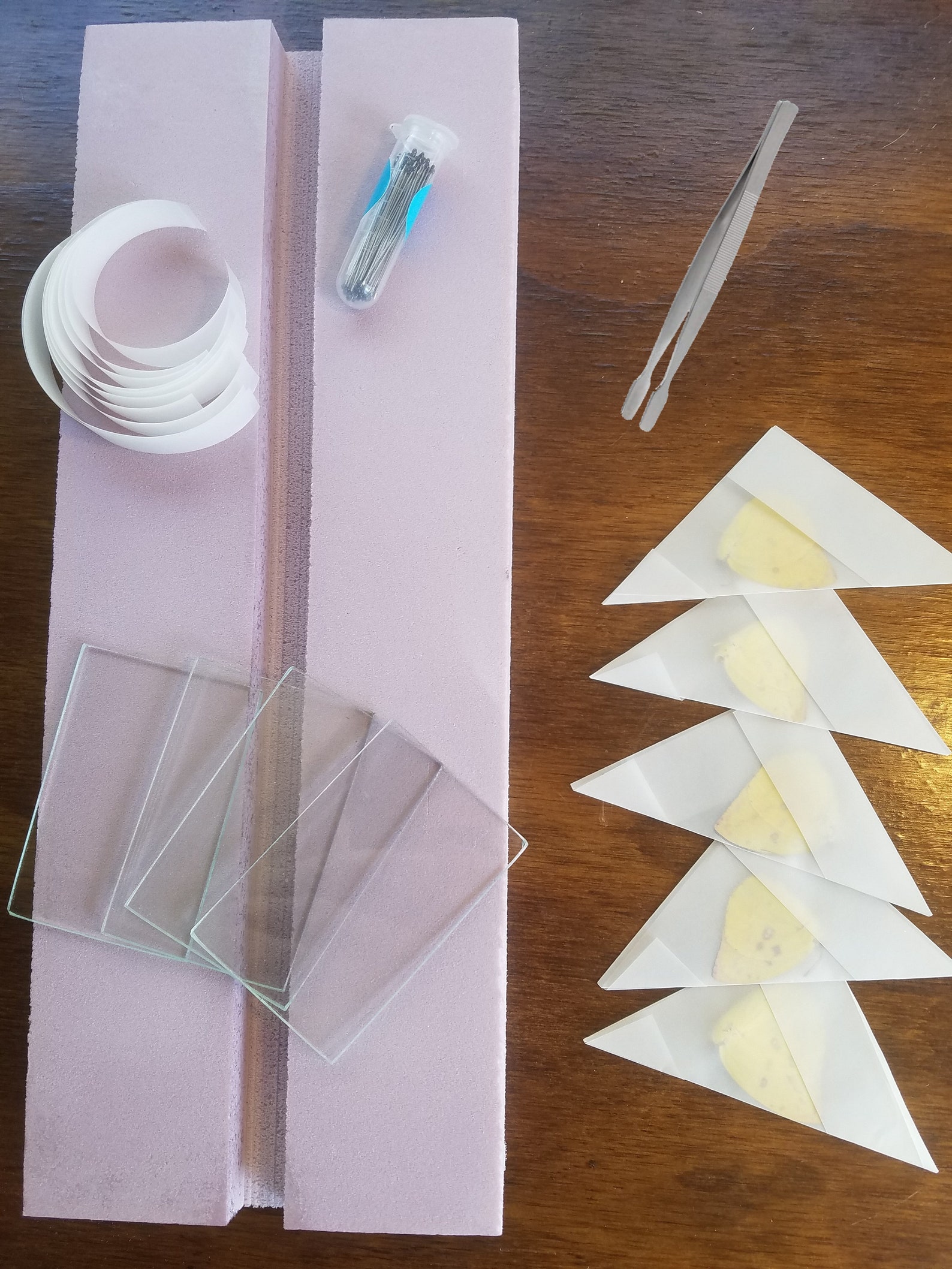 Complete Butterfly Mounting Kit Etsy