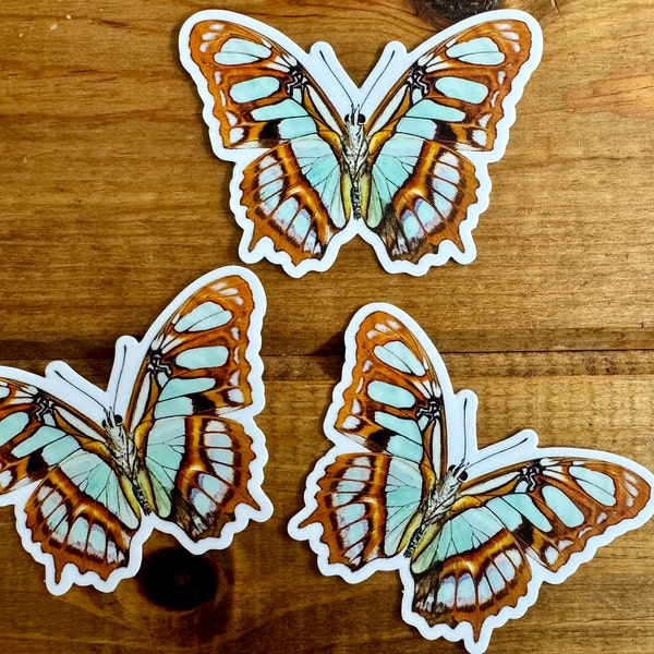 Green Malachite Butterfly Vinyl STICKER 'Siproeta stelenes' LIFE-SIZE, Realistic