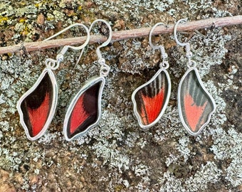 Red Scarlet Butterfly Wing Earrings in 99.5 Fine Silver