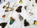 Mixed lot of REAL butterflies for artwork, crafts, and projects! Wholesale Pack! Assortment 