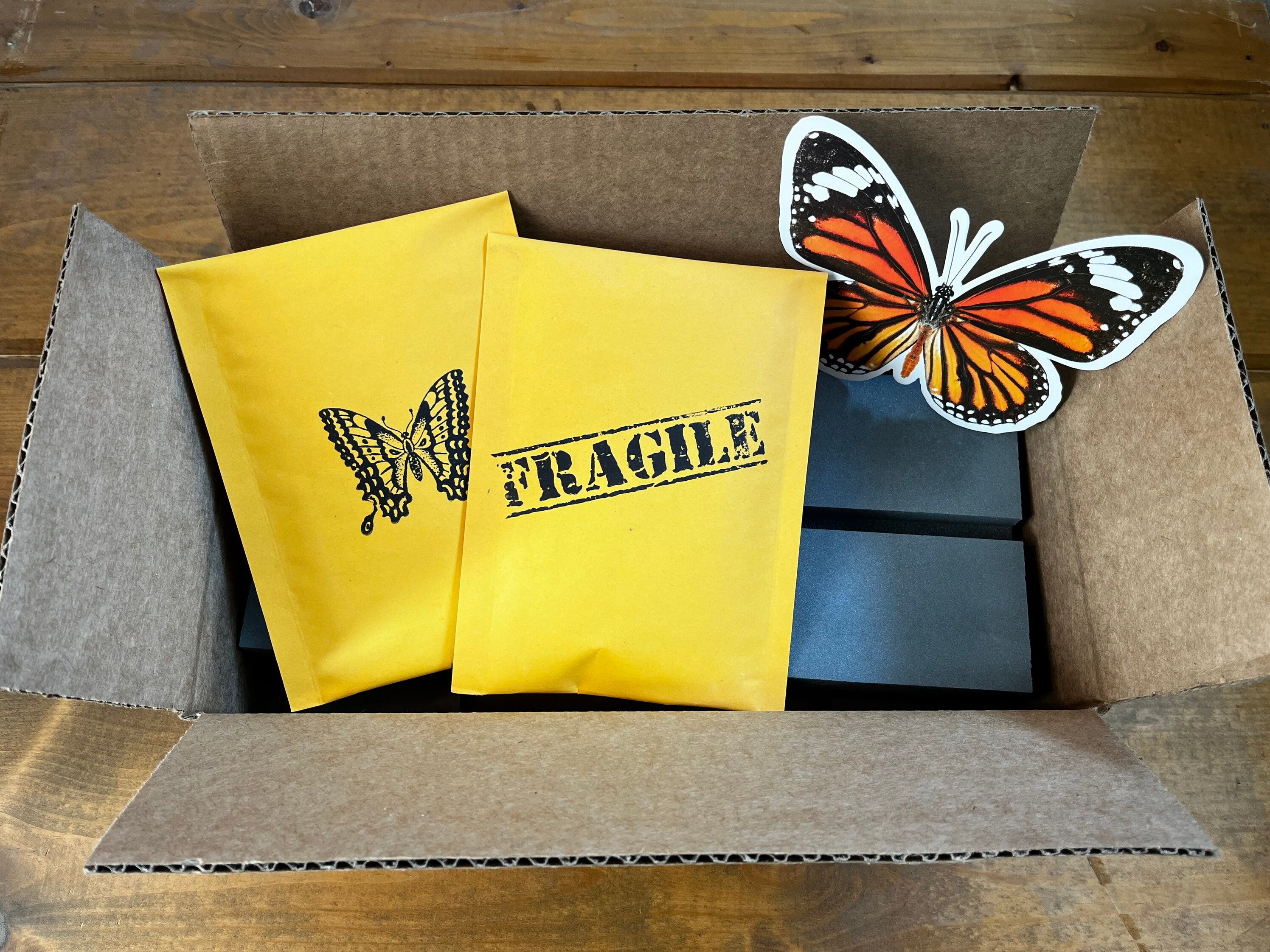 Complete Butterfly Mounting Kit Insect With Spreading Board Etsy