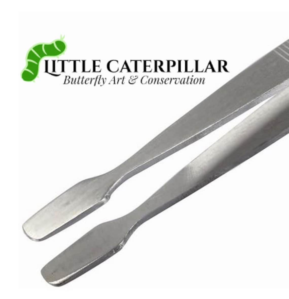 Feather Light Forceps - Australian Entomological Supplies