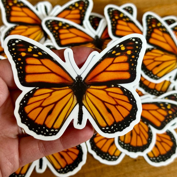 Monarch Butterfly Vinyl STICKER 'Danaus plexippus' LIFE-SIZE, Realistic