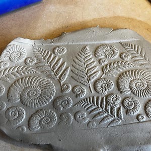 Könnte beinhalten: Eine graue Tonplatte mit einem geprägten Design aus Farnen und spiralförmigen Fossilien. Die detaillierte Reliefarbeit zeigt Spiral-Fossilien und Farnblätter in verschiedenen Größen und erzeugt eine strukturierte Oberfläche. Der Ton ist grau.