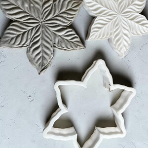 Può includere: Un oggetto grigio a forma di stella con texture a foglia, un oggetto bianco a forma di stella con texture a foglia e un tagliapasta bianco a forma di stella. Gli oggetti presentano venature dettagliate e bordi appuntiti.