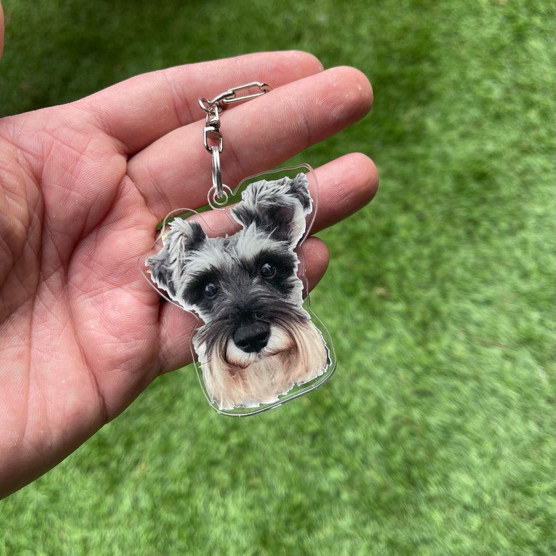 May include: A clear acrylic keychain featuring a black and grey miniature schnauzer dog. The keychain has a silver metal chain.