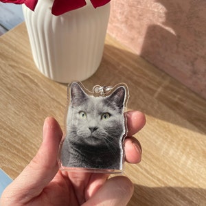 May include: A clear acrylic keychain featuring a photo of a gray cat with green eyes. The cat is looking directly at the camera.