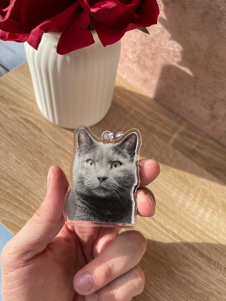 May include: A clear acrylic keychain featuring a photo of a gray cat with green eyes. The cat is looking directly at the camera.