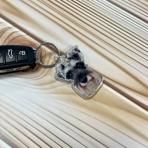 May include: A silver key chain with a clear plastic charm featuring a black and white miniature schnauzer dog.