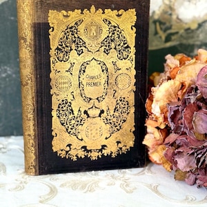 Antique French Book: Charles Ier, Gilt Royal Binding, Illustrated History