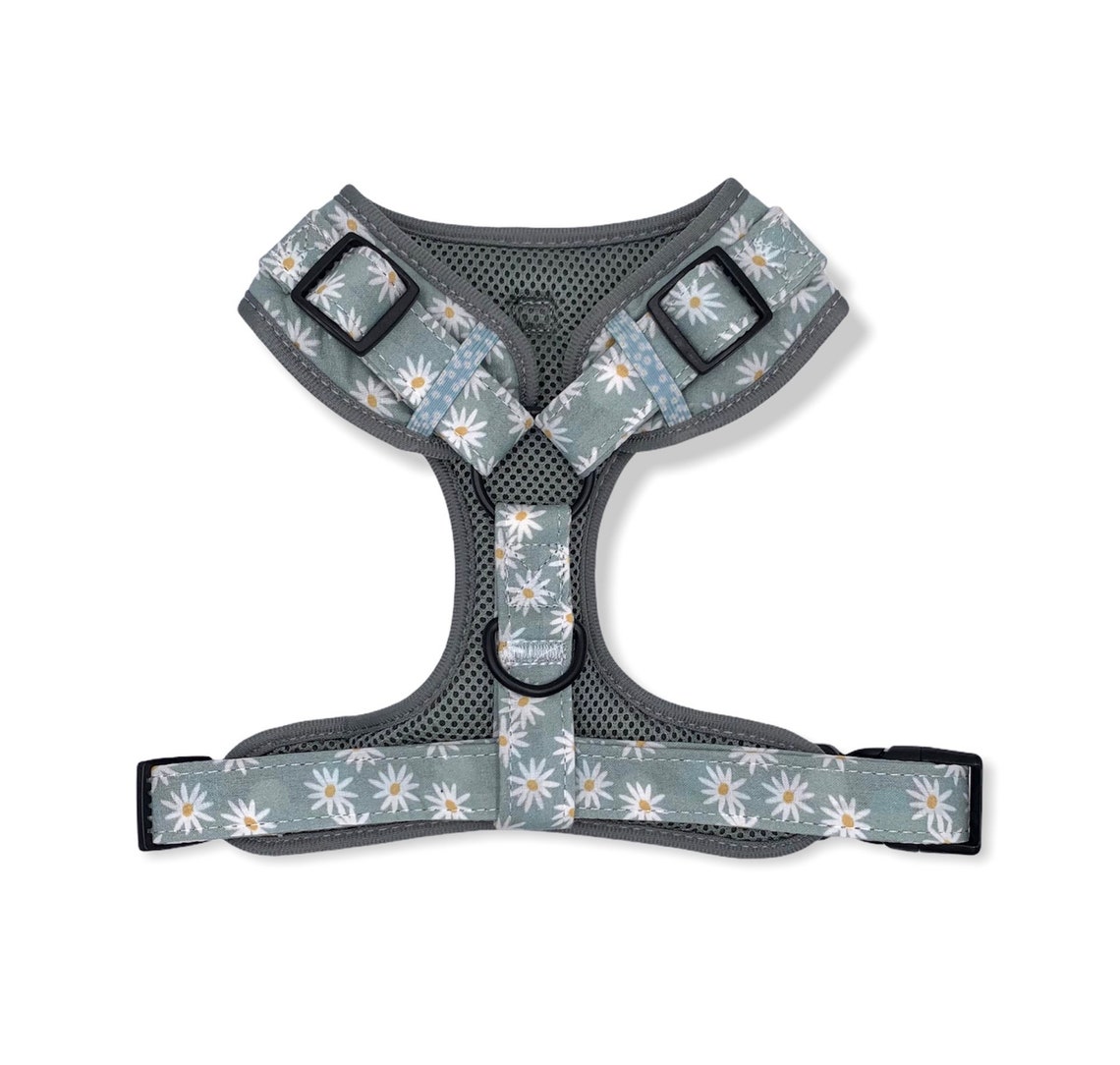 Daisies Dog Harness Floral Dog Harness Dog Harness New Dog Etsy