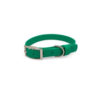 Waterproof Dog Collar, New Dog Gifts, Green BioThane Dog Collar, Green Dog Collar, BioThane Dog Collar, Dirt Resistant Dog Collar