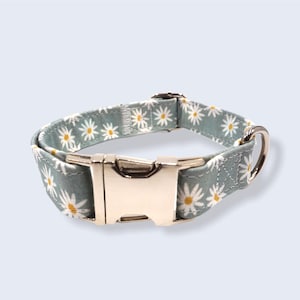 Daisies Dog Collar, Floral Dog Collar, Fabric Dog Collar, Daisies, Female Dog Collar, Fashion Collar, Silver Hardware