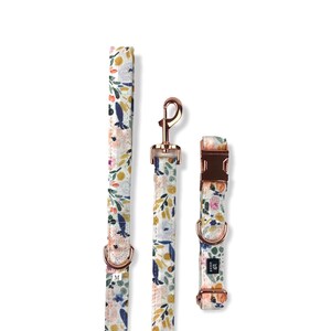May include: A white dog collar and leash set with a floral pattern in shades of blue, pink, yellow, and green. The hardware is rose gold.