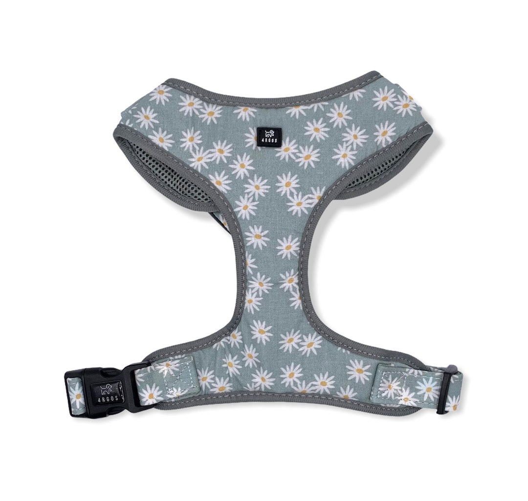 Daisies Dog Harness, Floral Dog Harness, Dog Harness, New Dog Gift, Floral Harness, Dog