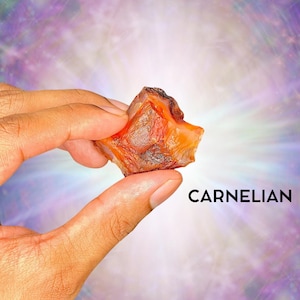 1&quot;-2&quot; Carnelian Healing Crystals - Rough/Raw