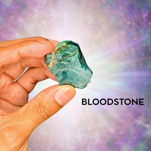 1”-2” Bloodstone Healing Crystals - Rough/Raw