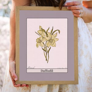March Birth Month Flower Digital Print - Daffodil Illustration, Printable Birth Flower Wall Art, Instant Download, Botanical Birthday Gift
