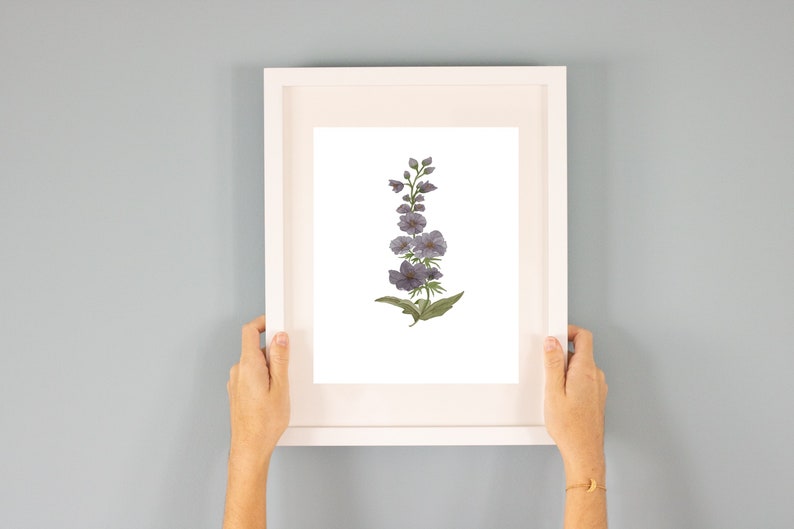Watercolor Larkspur Painting Watercolor Flower Art Larkspur Birth Flower July Birth Flower Print Birth Flower Art
