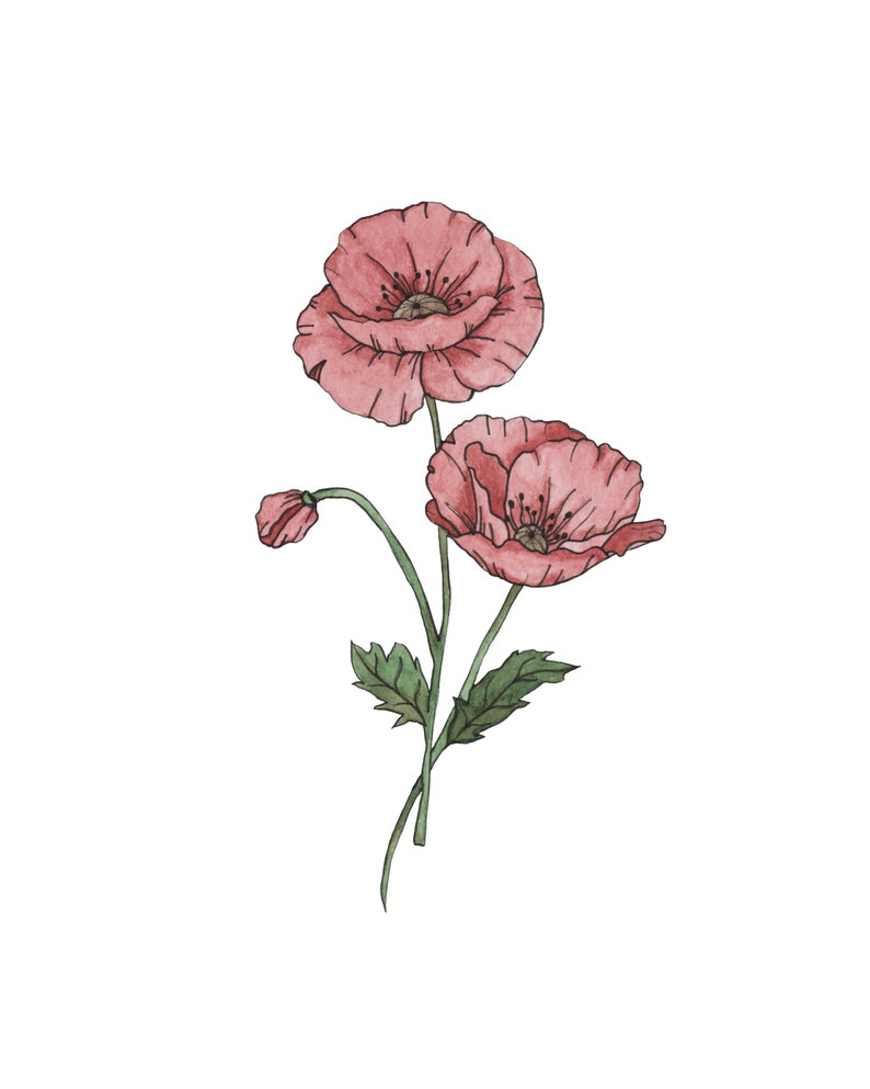 AUGUST Birth Flower Print, Watercolor Poppy Painting, Watercolor Flower