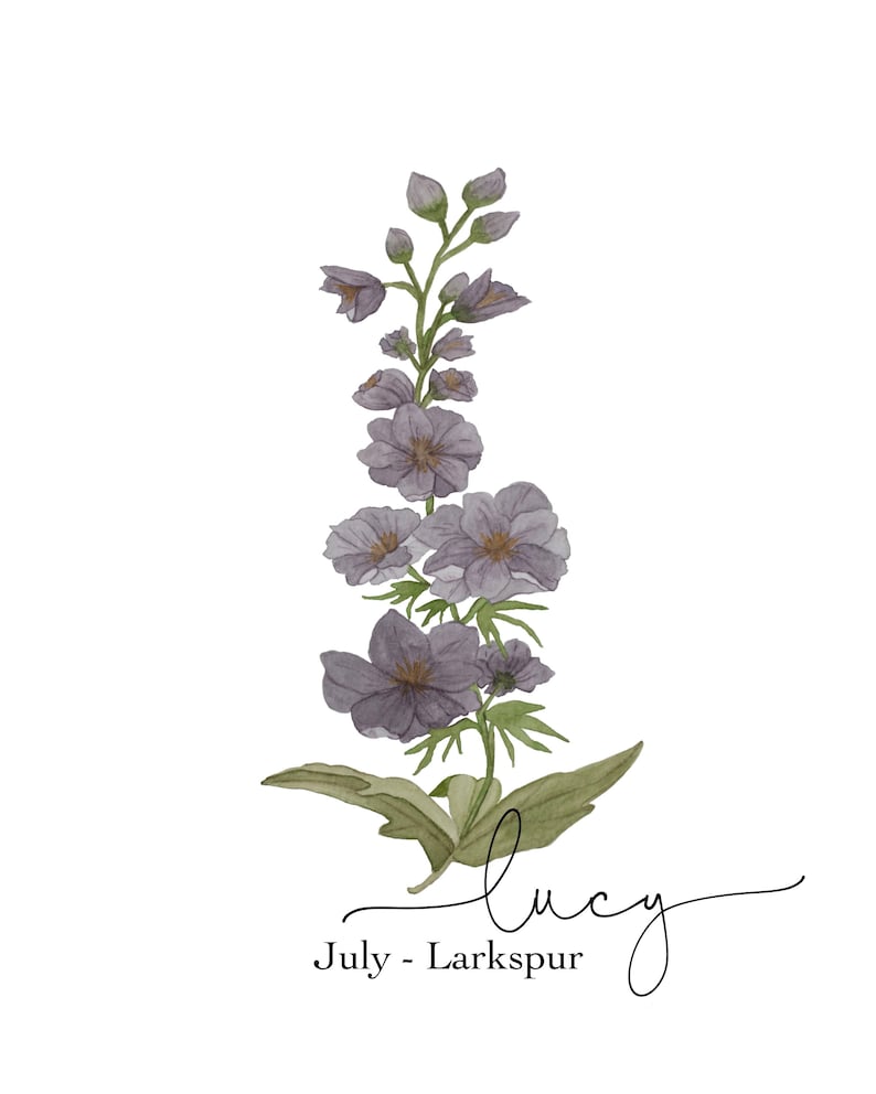 Watercolor Larkspur Painting Watercolor Flower Art Larkspur Birth Flower July Birth Flower Print Birth Flower Art