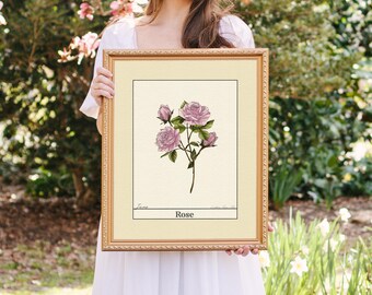 June Birth Flower Print, Rose Floral Art, Vintage Botanical Digital Download, Birth Month Wall Art, Printable Gift For Her